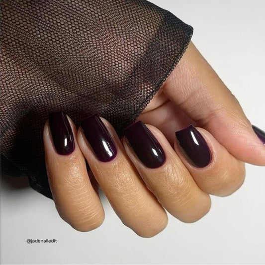 EVO No. 113 MARCELLE