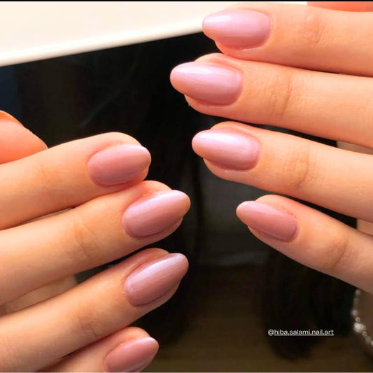 BIOGEL No. 219 MAGICAL MERRY-GO-ROUND