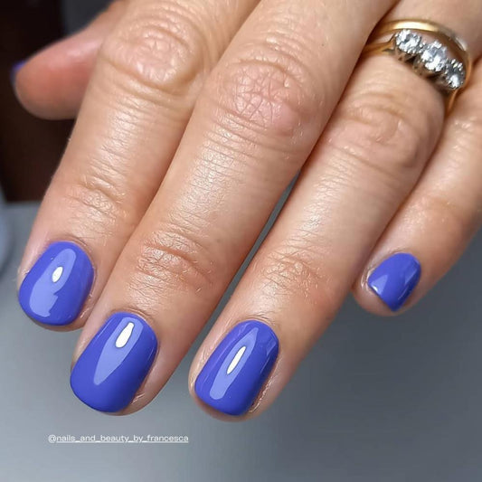 EVO No. 082 ÉLÉGANCIA