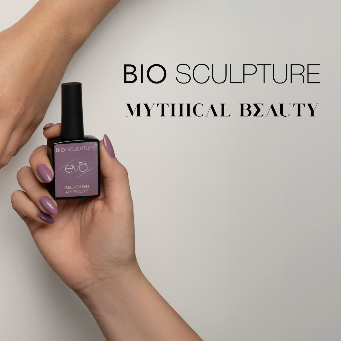 EVO APHRODITE SQUARE BILDDATEI
