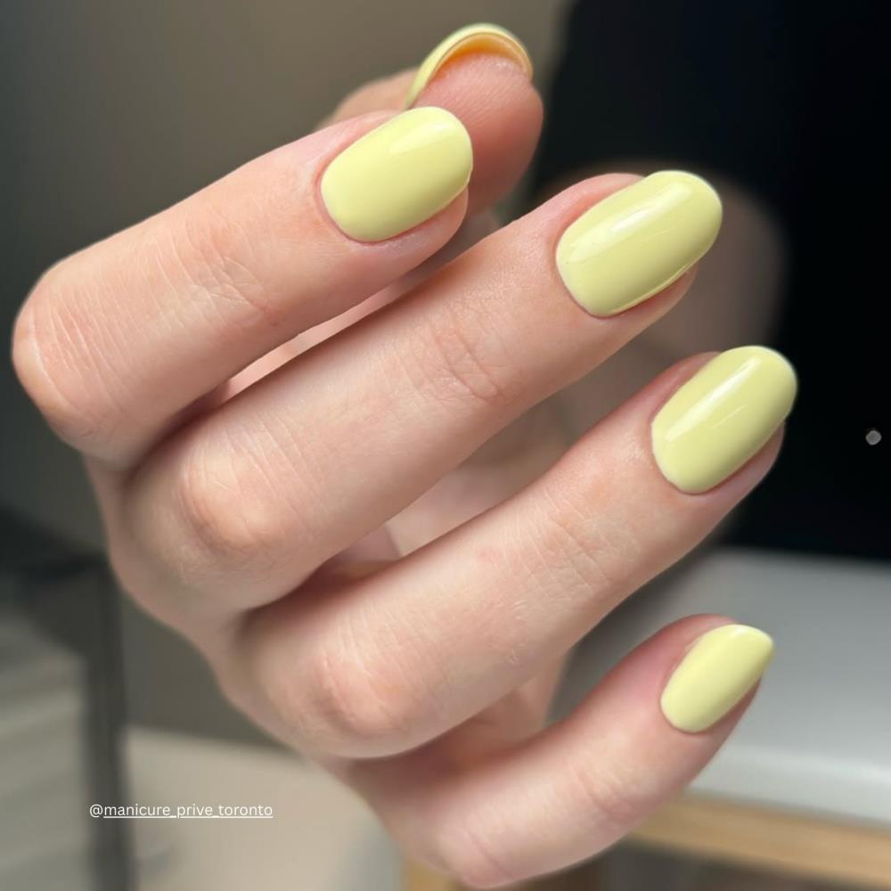 COLOUR GEL No. 152 ALINTA