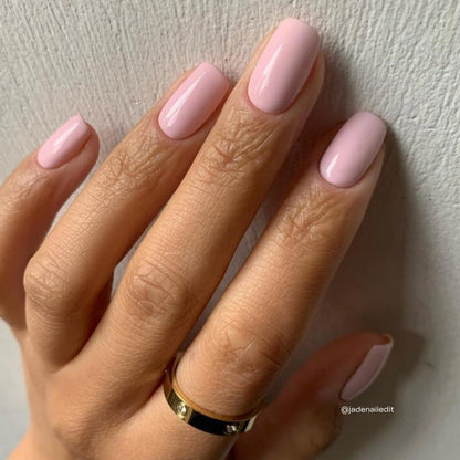 EVO No. 156 RELLIE-ROSE