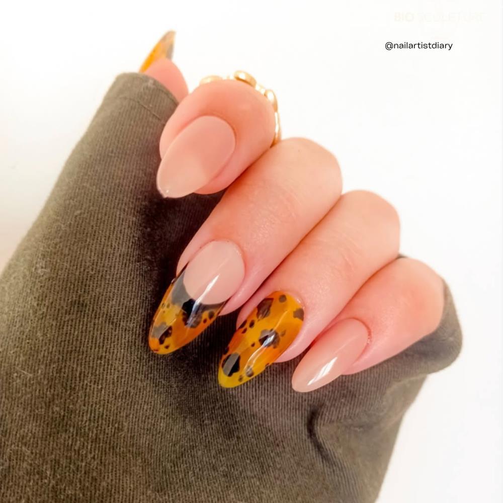 EVO No. 160 MICHELLE H