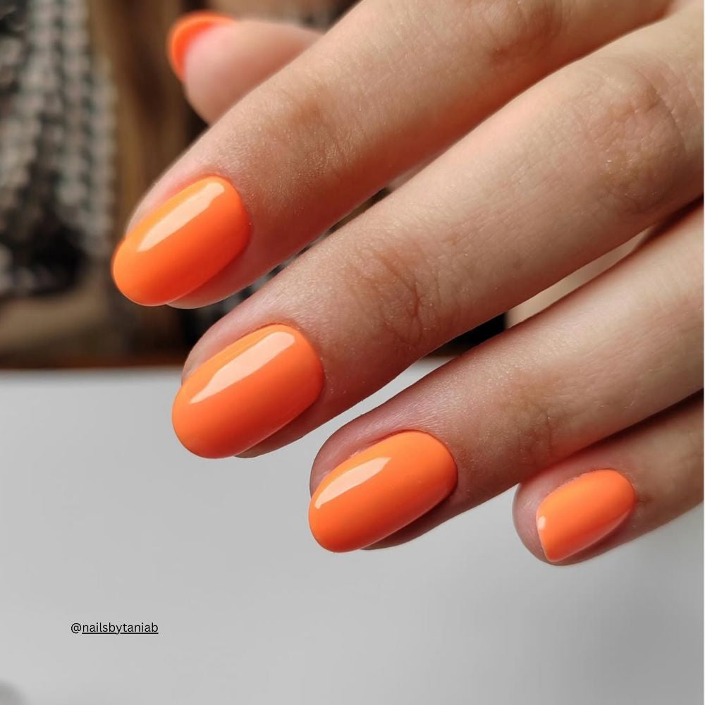 COLOUR GEL No. 179 MARIZA