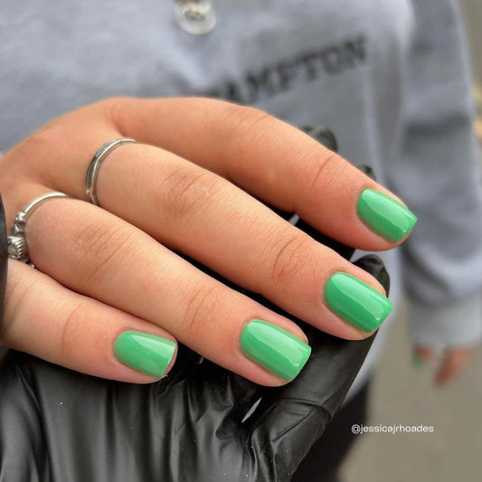 BIOGEL No. 198 CATCH THE WIND