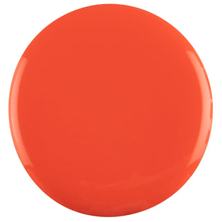 No. 2002 CORAL