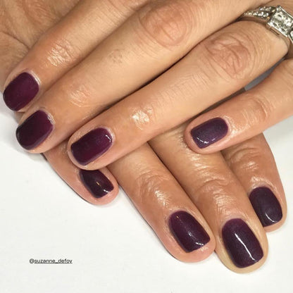 BIOGEL No. 2031 BLACK AUBERGINE
