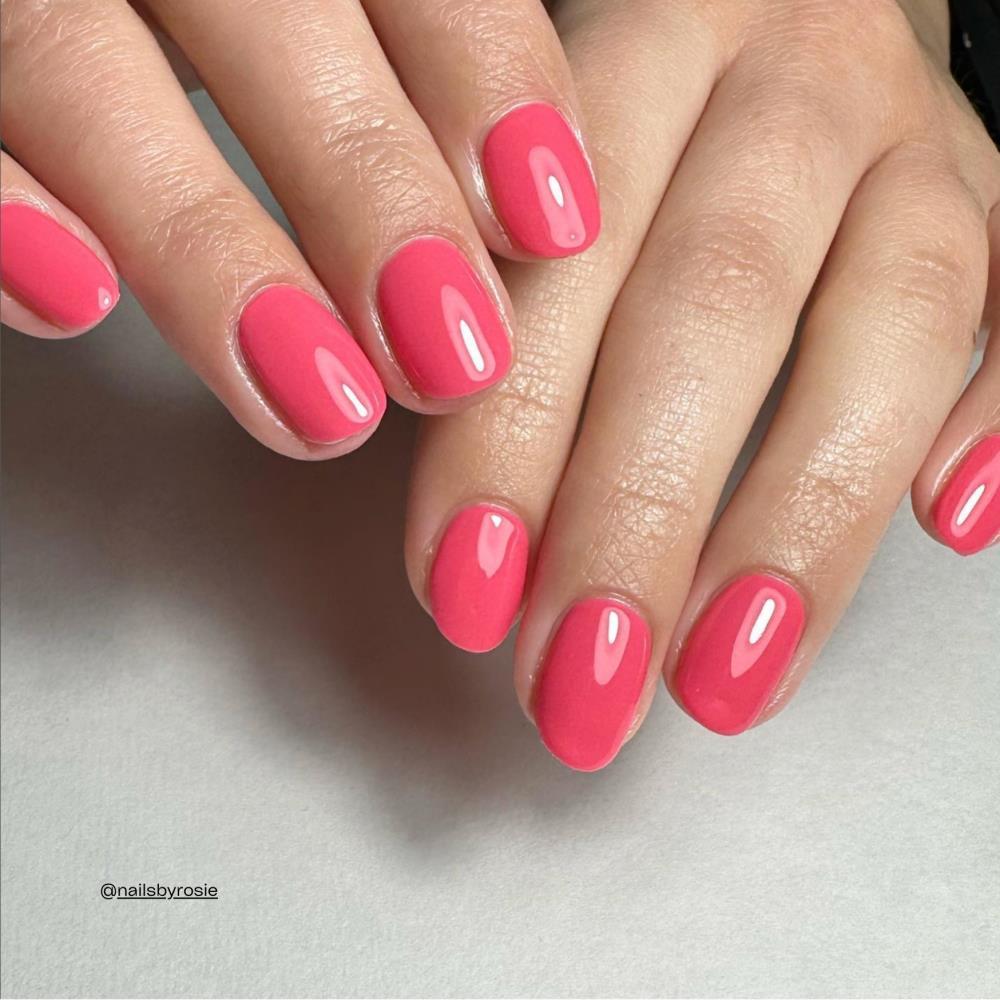 BIOGEL No. 250 RADIANT STARFISH