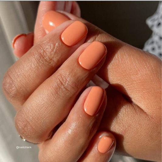 NAGELLACK 266 CLAY PATHWAY 14 ML