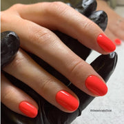 BIOGEL No. 282 POCO POP