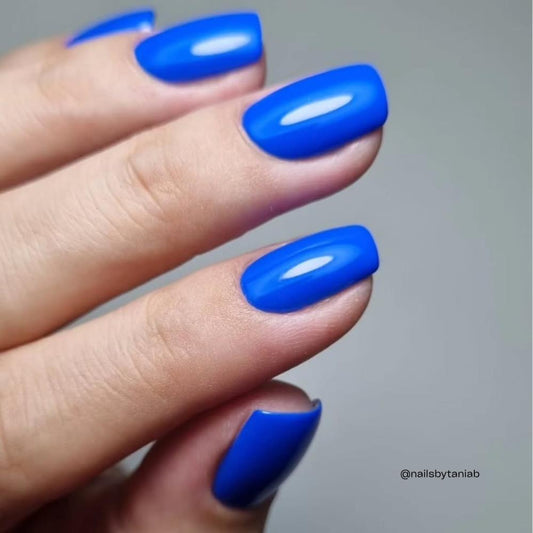 BIOGEL No. 289 BOOGIE BLUES