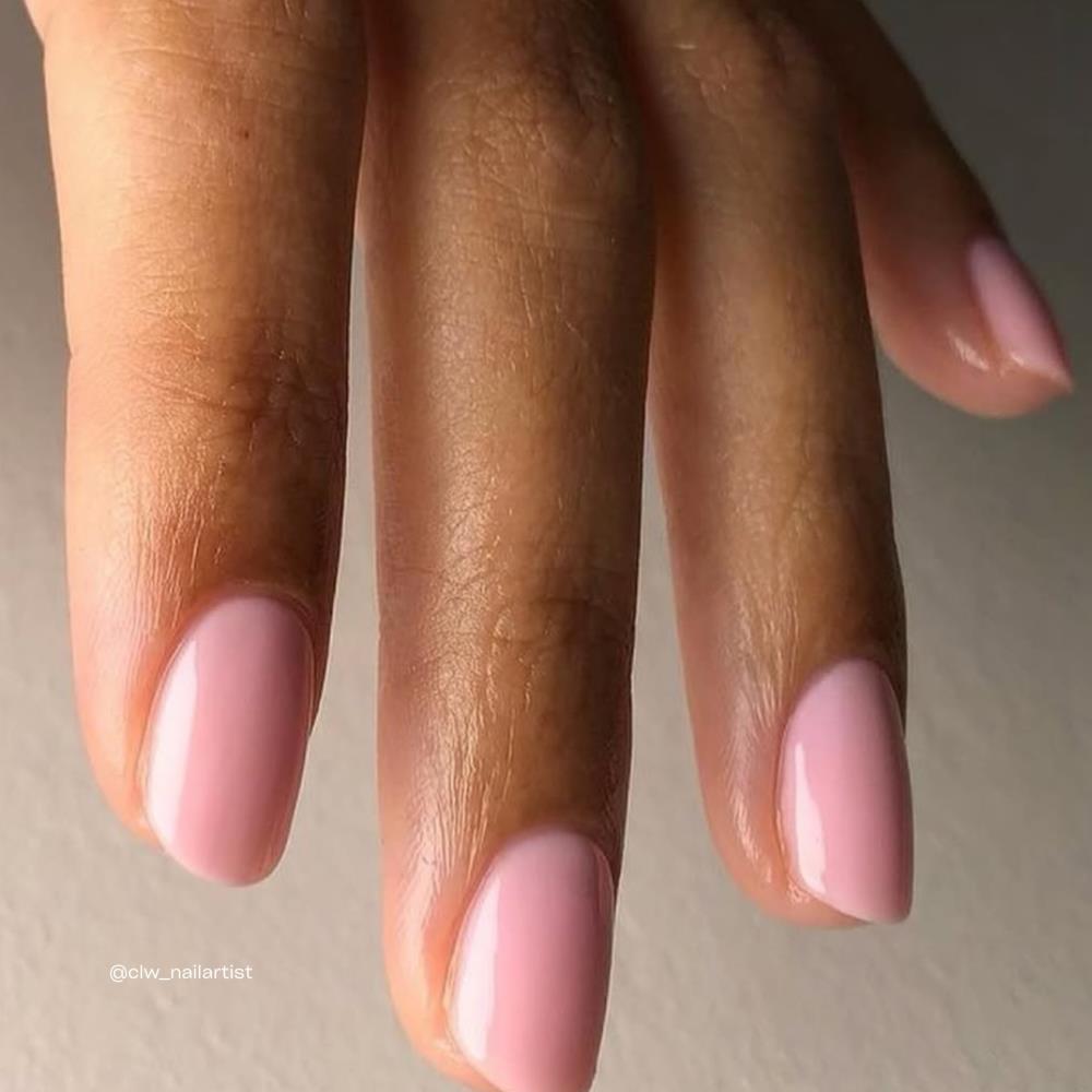 COLOUR GEL No. 004 ROSE