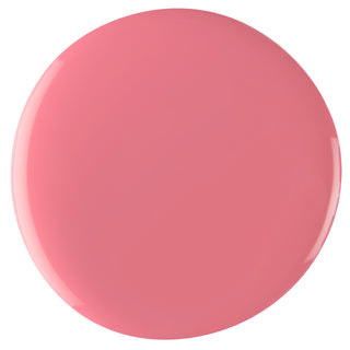 No. 65 PINK ICEBERG