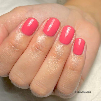 BIOGEL No. 6 SUGAR KISS