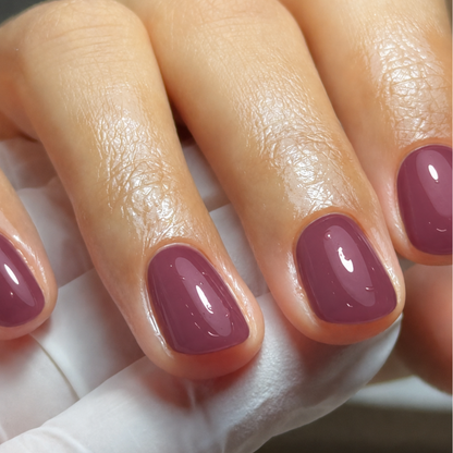 BIOGEL No. 99 CHERRY LIQUERS