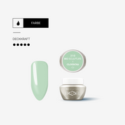 BIOGEL No. 310 CLOUDCHA