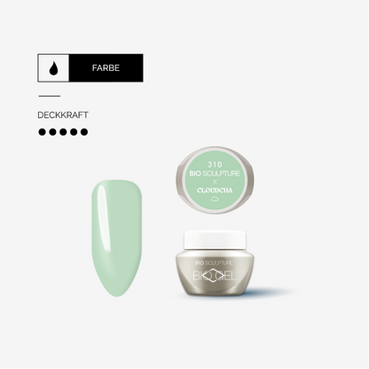 BIOGEL No. 310 CLOUDCHA