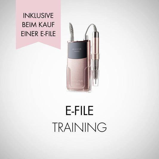 E-FILE TRAINING