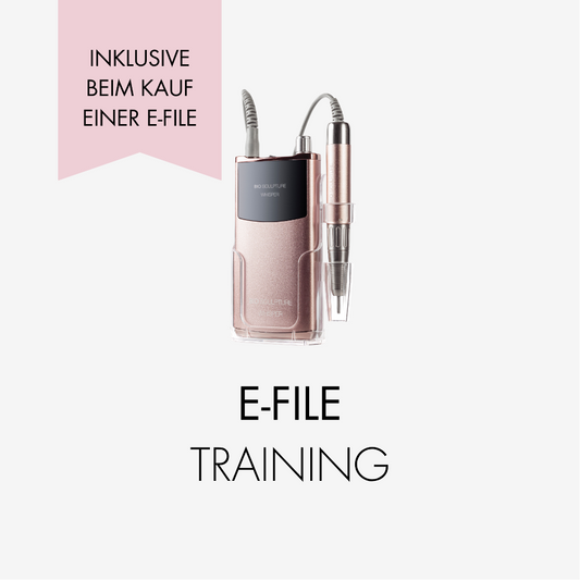 E-FILE TRAINING