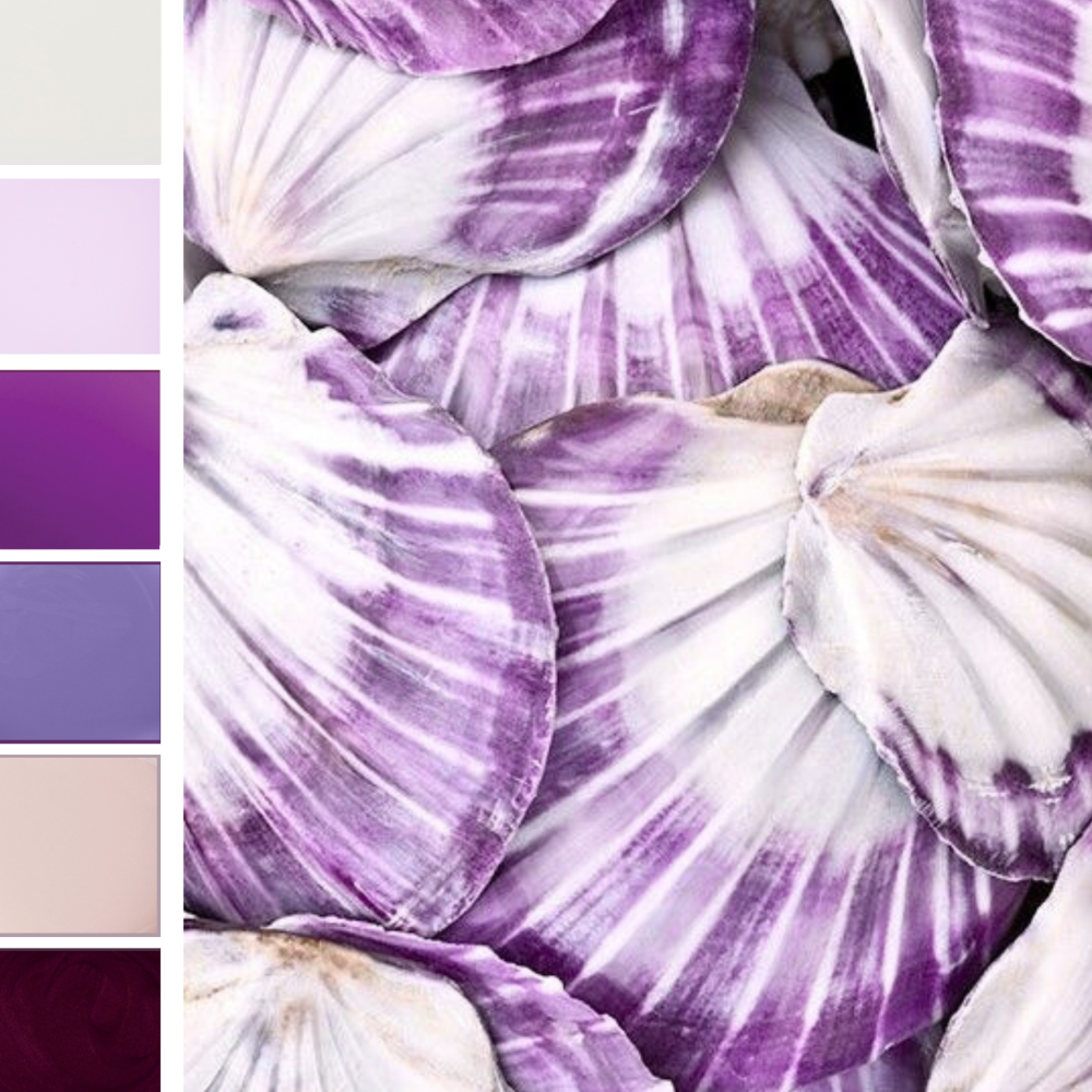 PURPLE TIDE  BIOGEL BUNDLE