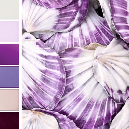 PURPLE TIDE  BIOGEL BUNDLE