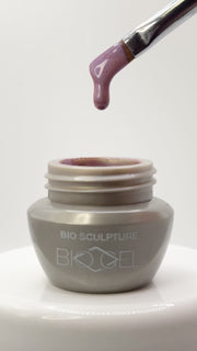 BIOGEL No. 219 MAGICAL MERRY-GO-ROUND